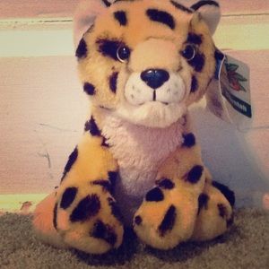 Cheetah